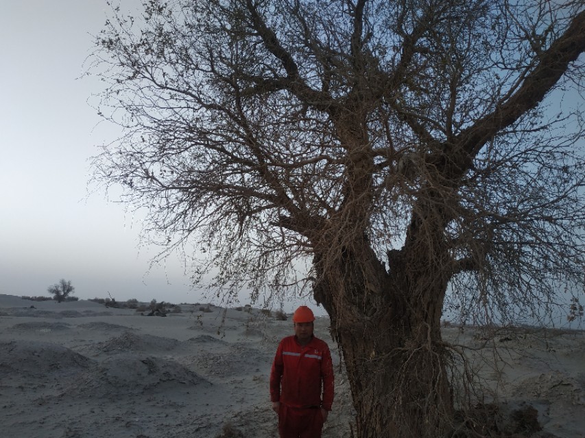 我在新疆生活的经历,我在新疆打工的日记