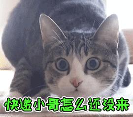 网购靴子呈阳性真的假的,网购的靴子呈阳性