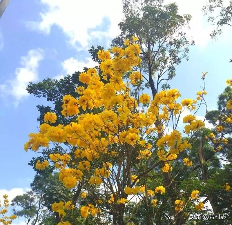 遇见·预见|开眼界！大广州下冰雹；国内油价将4连涨