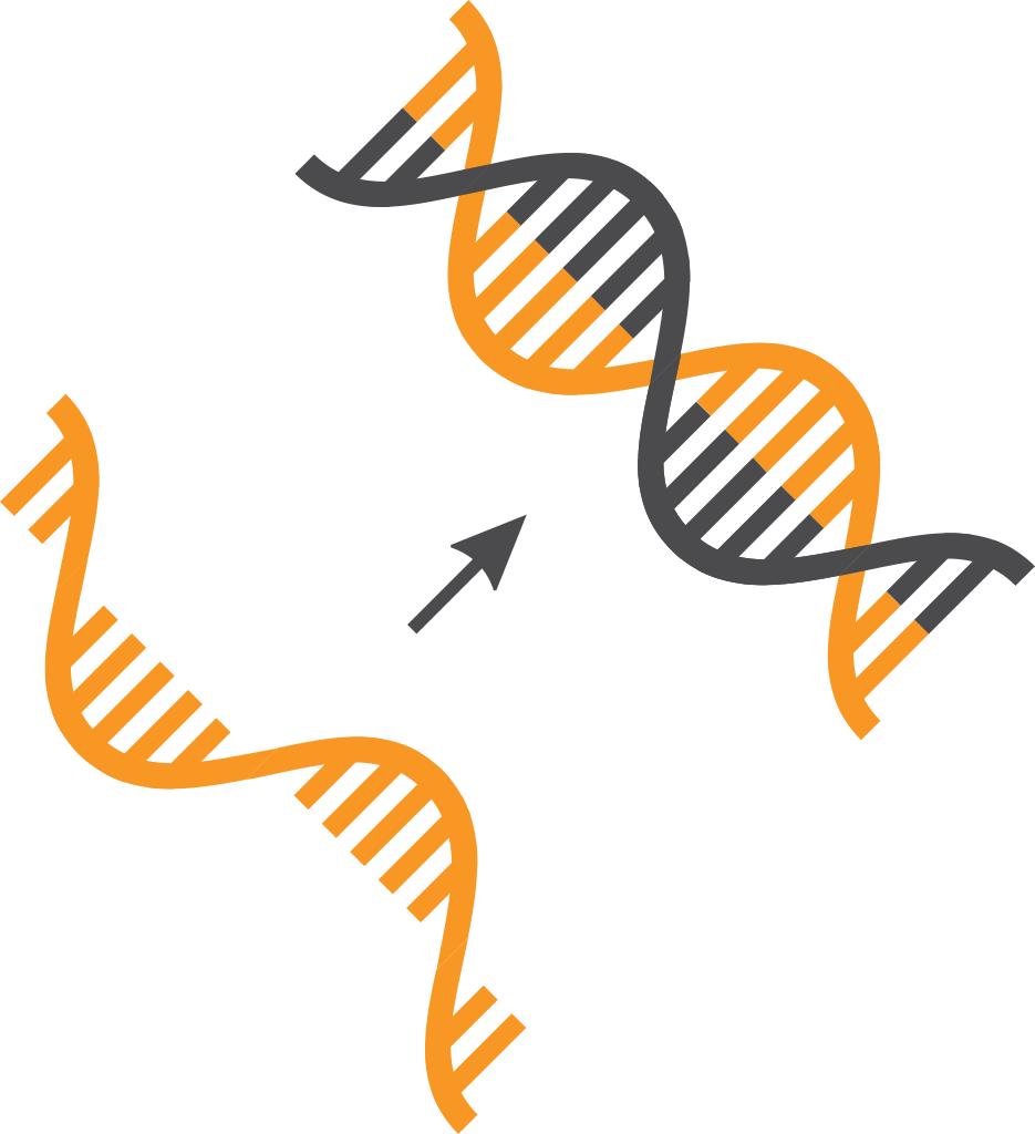 吃辣椒为什么会上火“菊花疼”？有人籍此拿到诺贝尔奖？太简单？