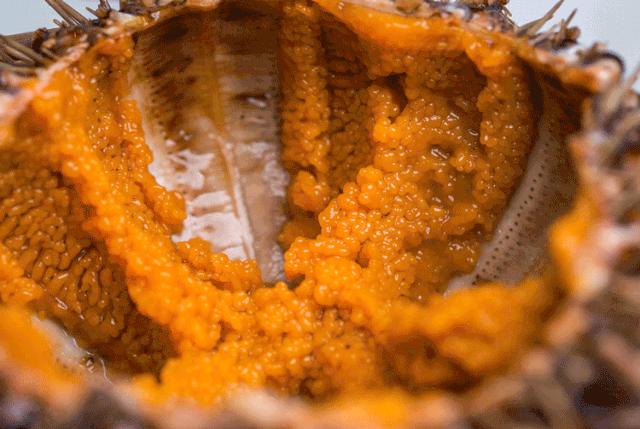 帝王蟹波龙象拔蚌,陆家嘴帝王蟹