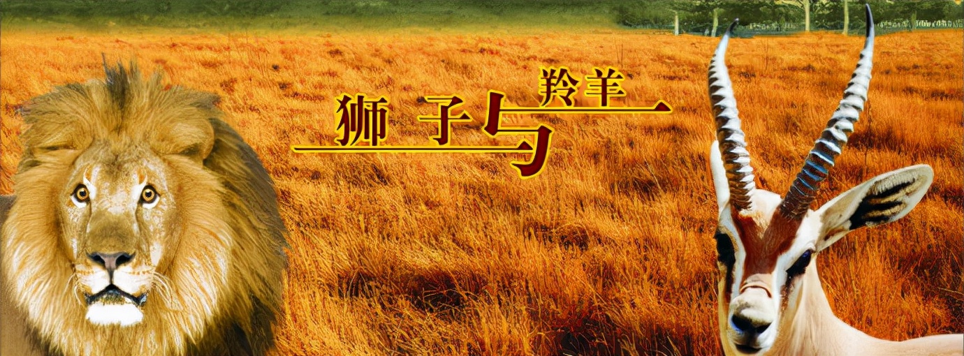 大学生不适应大学生活怎么办,大学生怎样尽快适应大学生活