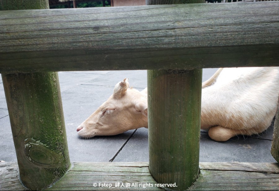 宅家云旅游遇见最美的自己 (宅家云旅游唯有爱与美食不可辜负)