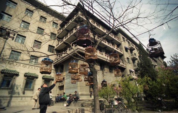 八九十年代北京老照片:北京饭店开起夜市,中关村孕育一批IT精英