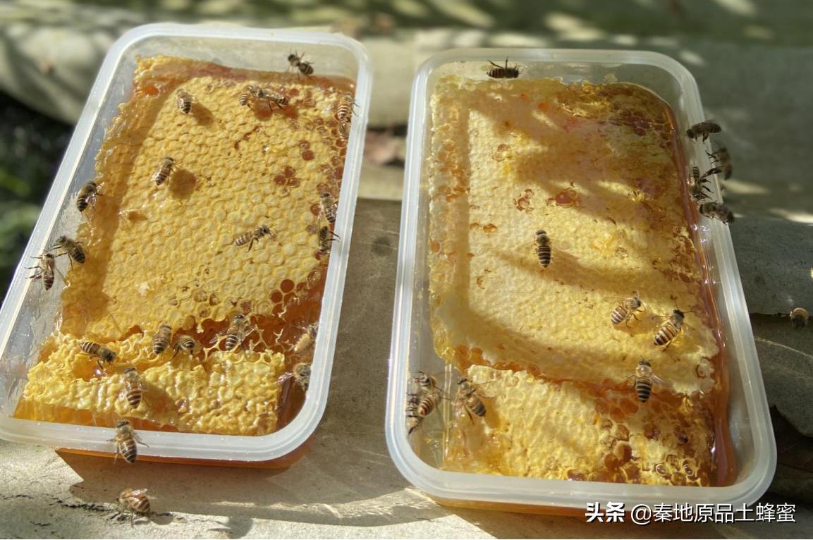 哪种蜂蜜祛痘最好,蜂蜜真的可以消除痘印吗