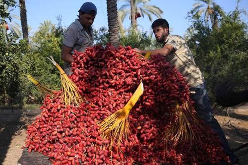 迪拜土豪零食大全,迪拜的零食