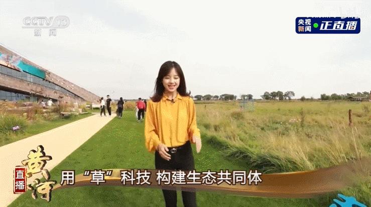 永远可以相信国家级审美,永远不要怀疑中央电视台的审美