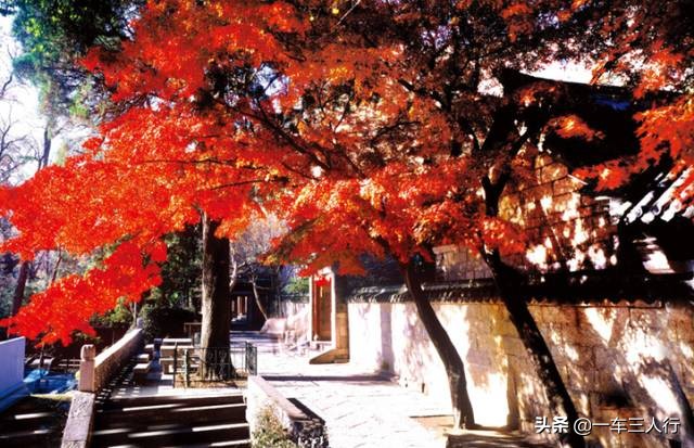 大连有一个蓝色的小城堡景点,大连秋季旅游景点攻略大全