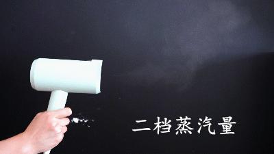 我被李佳琦“割韭菜”：吹风机式手持挂烫机，使用一周后什么感受