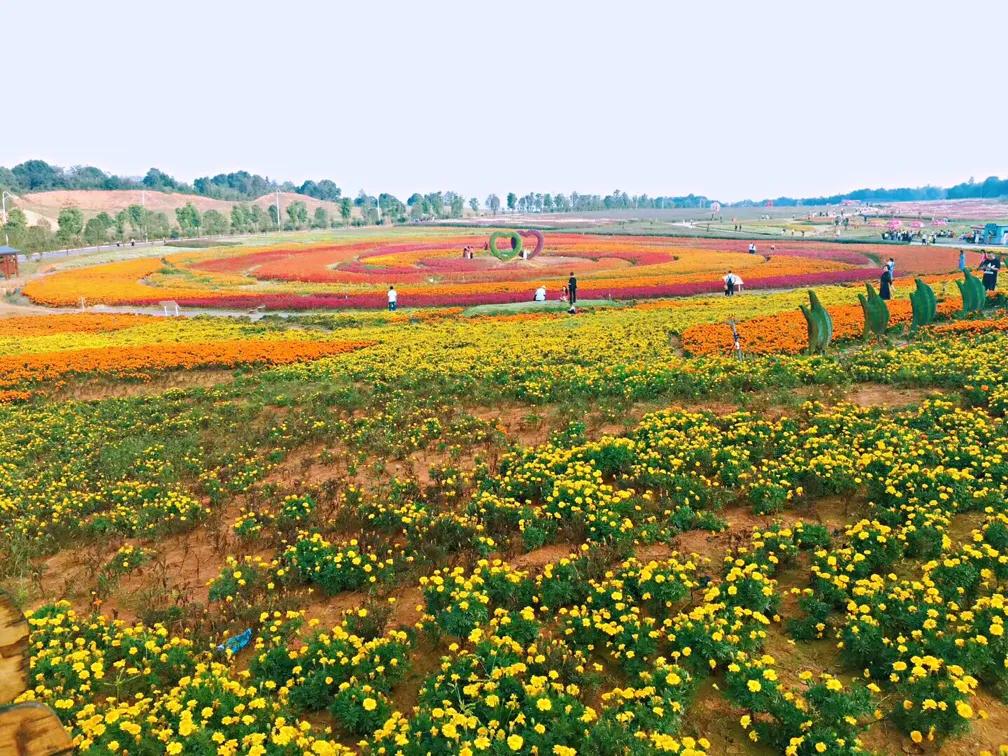 洋沙湖二日游必去景点,洋沙湖旅游在哪里