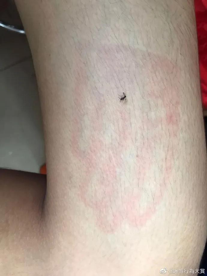 暴风哭泣第二弹,暴风哭泣后续