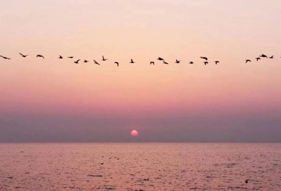 当你感到悲哀时最好去学些什么,当你感到悲伤时你会怎么做