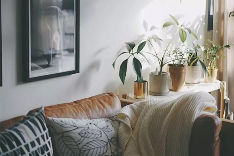 户型小怎么办最好,户型不大怎么化解