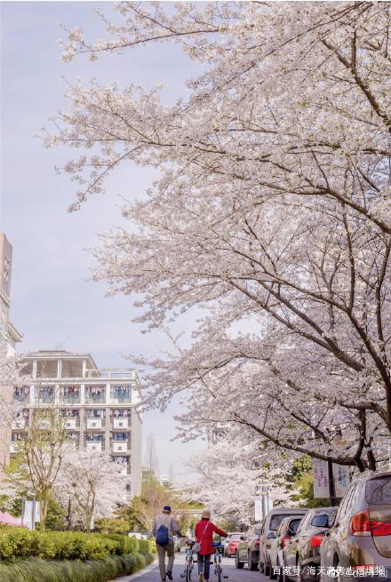 浙江大学宿舍是什么档次,浙江大学的宿舍究竟怎么样