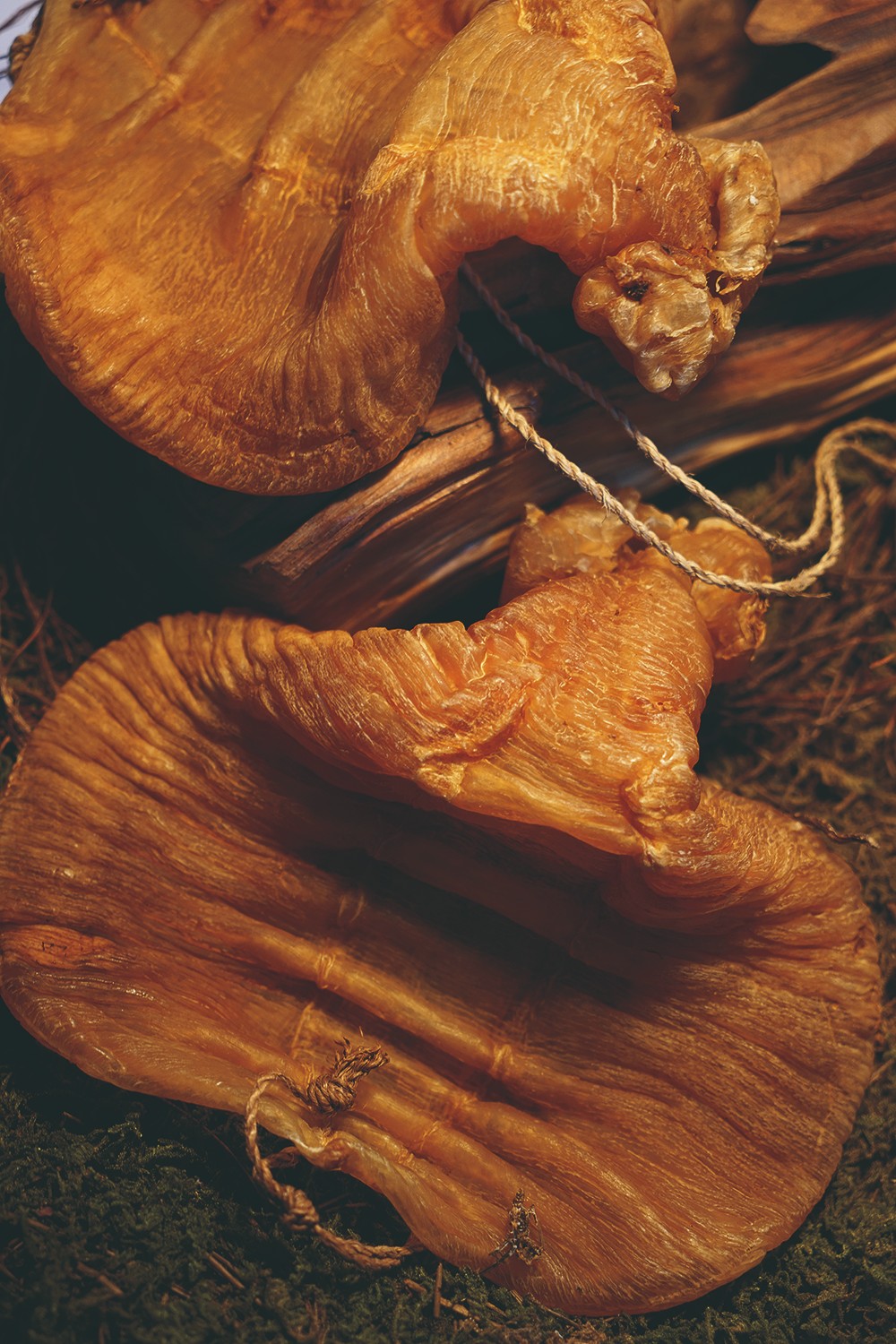 华艺国际25周年庆典春拍,华艺国际拍卖