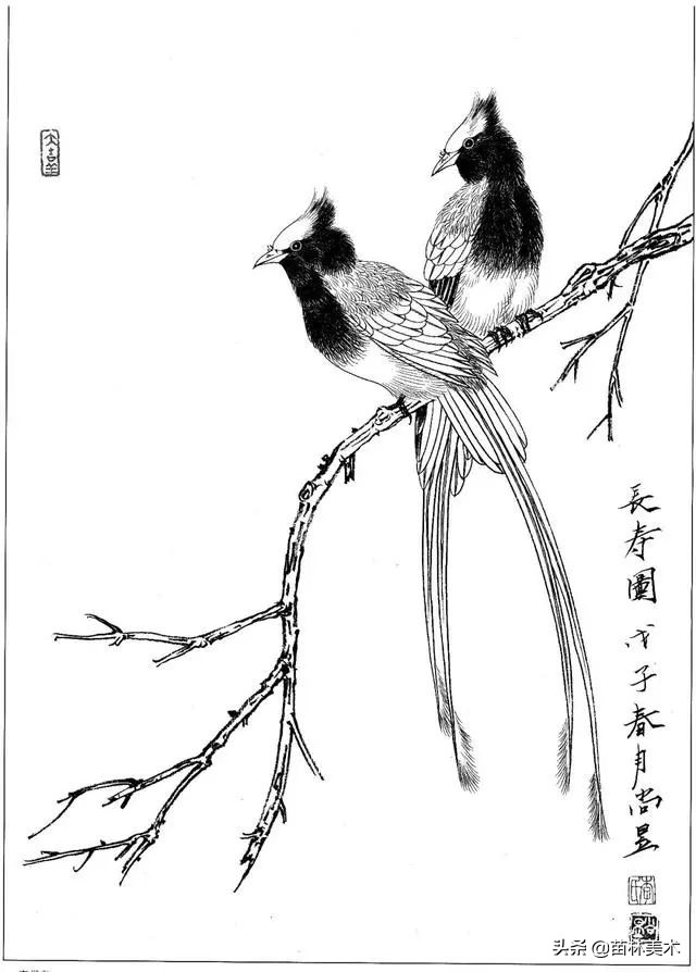 现代国画工笔花鸟白描及完整版,路雨年工笔白描花鸟团扇高清图片