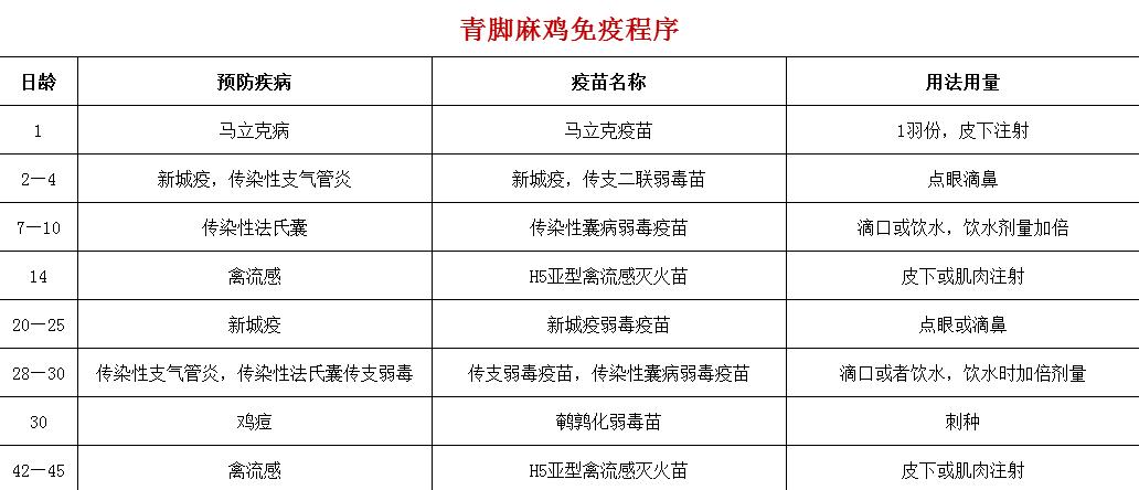 麻鸡为什么便宜,麻鸡优缺点