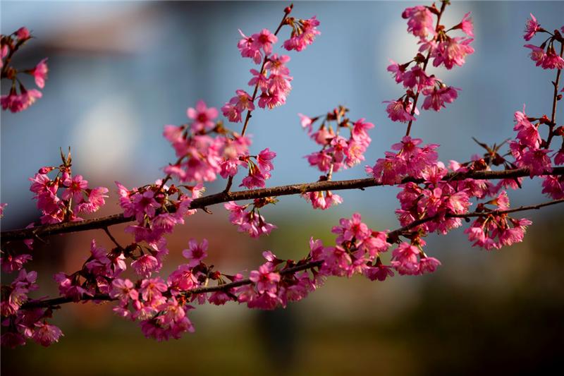 瞧!这花花世界谁不爱