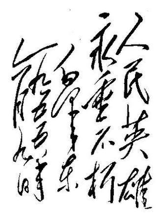 怎样看待毛*东泽**的书法?