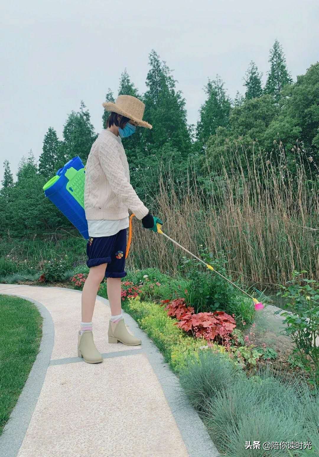 张馨予热门话题,张馨予从话题女王到帅气