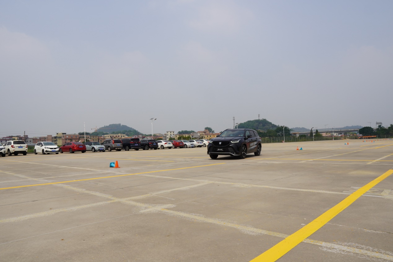 皇冠陆放能否扛起这面大旗,2022年皇冠陆放