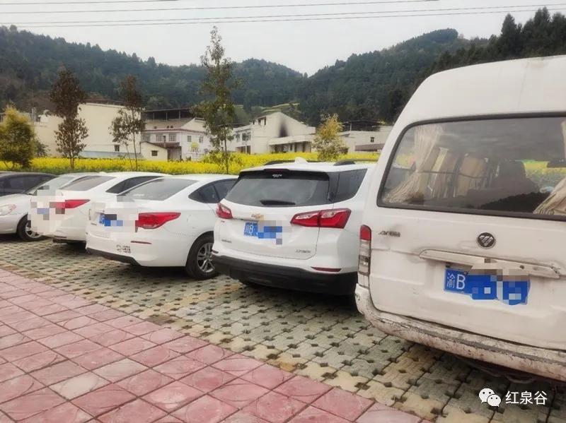 成都桃花花海,成都绕城周边花海