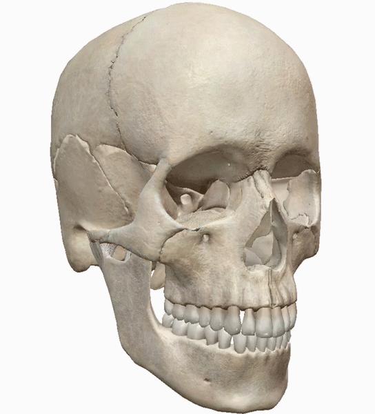 正美体态矫正教学视频,颧骨外扩左右脸不匀称体态改善