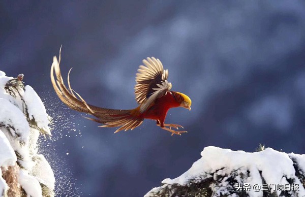 三门峡甘山国家森林公园最新消息,三门峡五一甘山国家森林公园