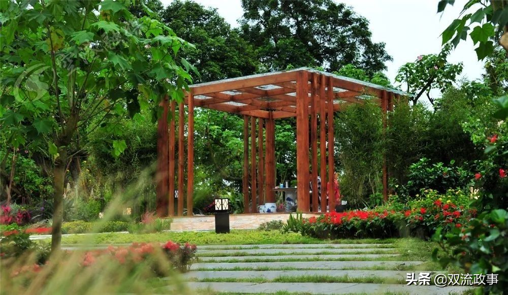 双流美丽公园城市,成都双流湿地公园美景