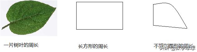 周长的认识大单元教学,周长的认识