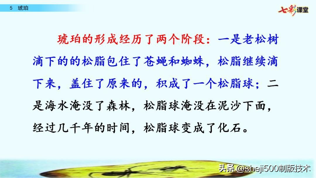 语文书四年级下册第5课琥珀预习,四年级下册第5课琥珀的思维导图