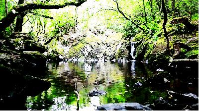 华盛顿邮报十大奢侈品的英文版,华盛顿邮报人生十大奢侈品