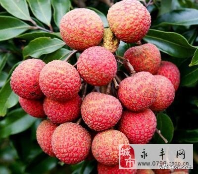 我国32个省市的特产，作为国人的你知道多少？