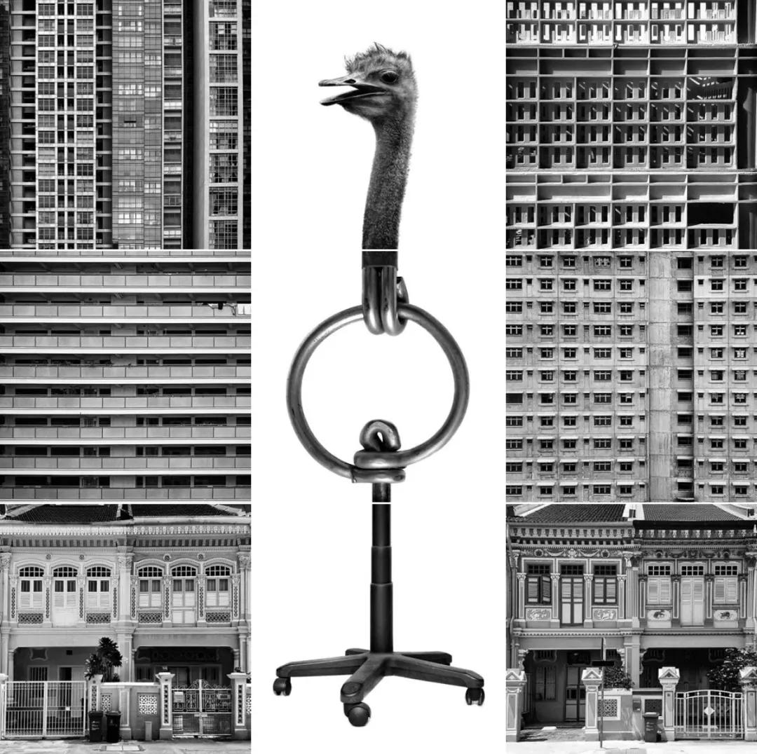 九宫格怎么晒图片,晒一晒九宫格图片