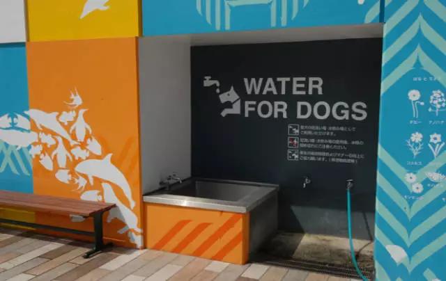 为什么日本电商输给中国实体店,为什么日本电商赢不了实体店