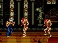 md战棋游戏,md双人游戏