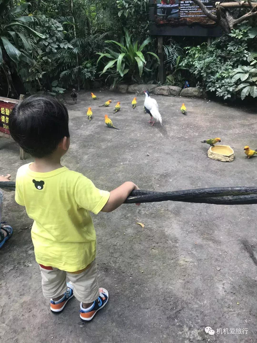 珠海长隆和广州长隆旅行攻略,珠海长隆和广州长隆旅游攻略区别