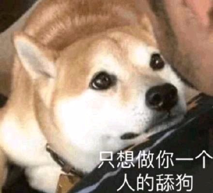 心理学好感存在四个月,爱情心理学效应有哪些