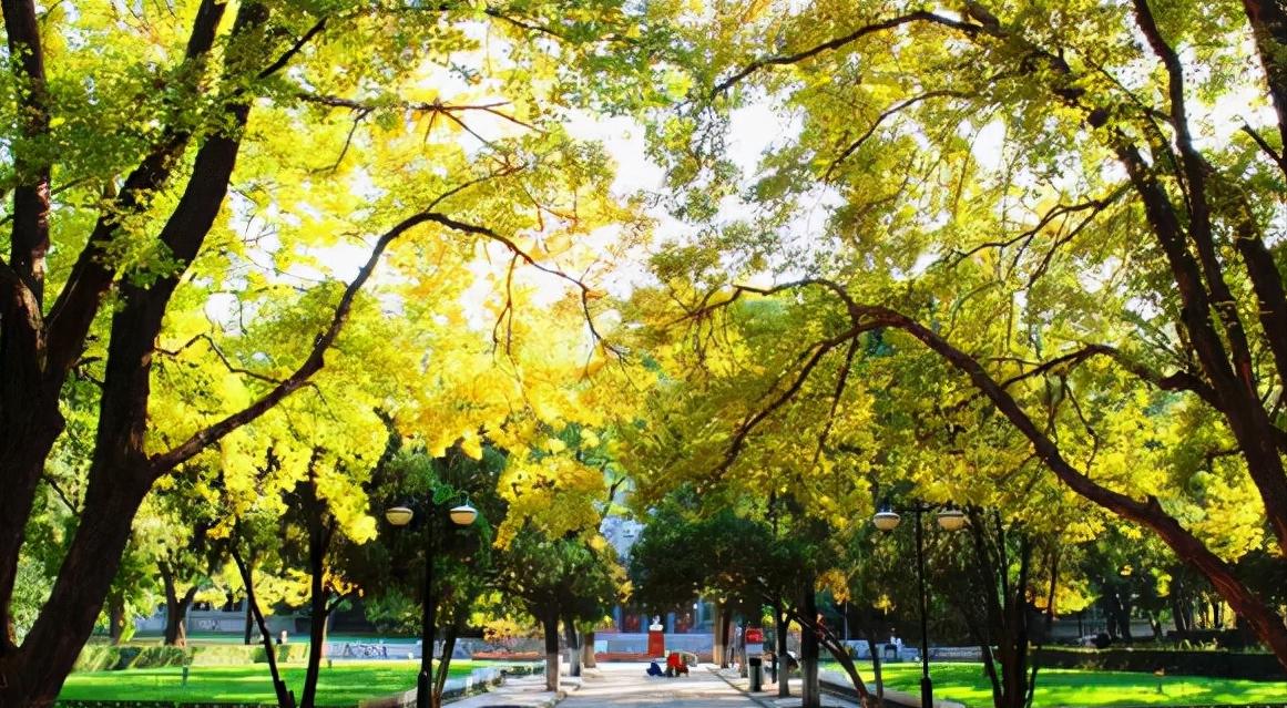 山东大学威海校区与青岛校区区别,青岛大学威海校区