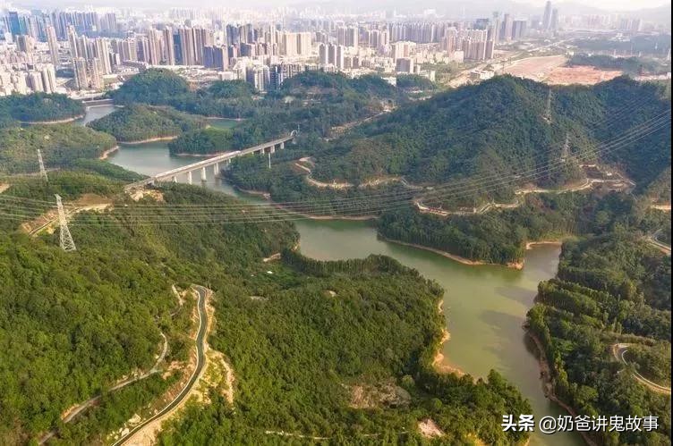 深圳五条超美绿道,龙华环城绿道羊台山段从哪进