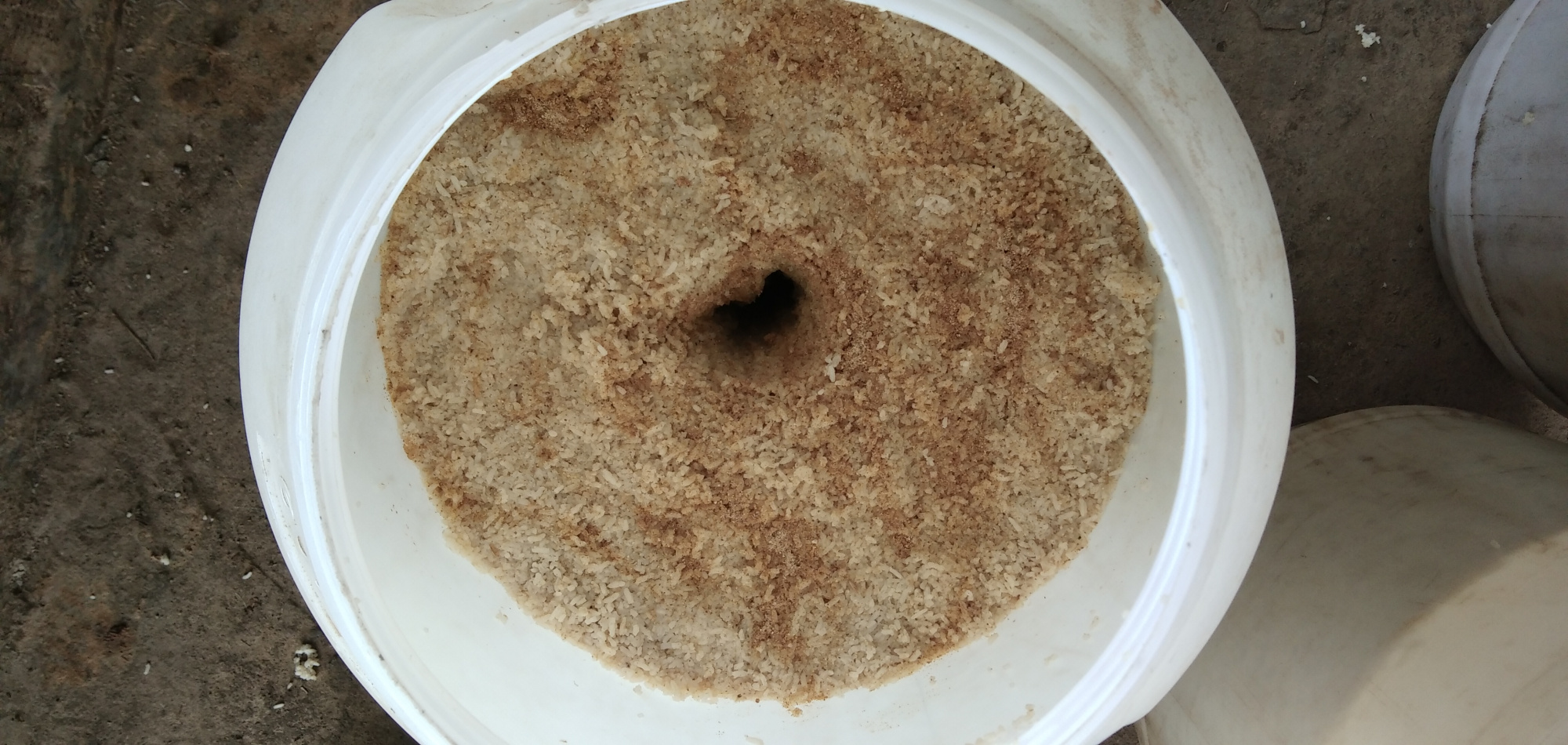 教你如何酿酒,在家怎么酿酒最好喝