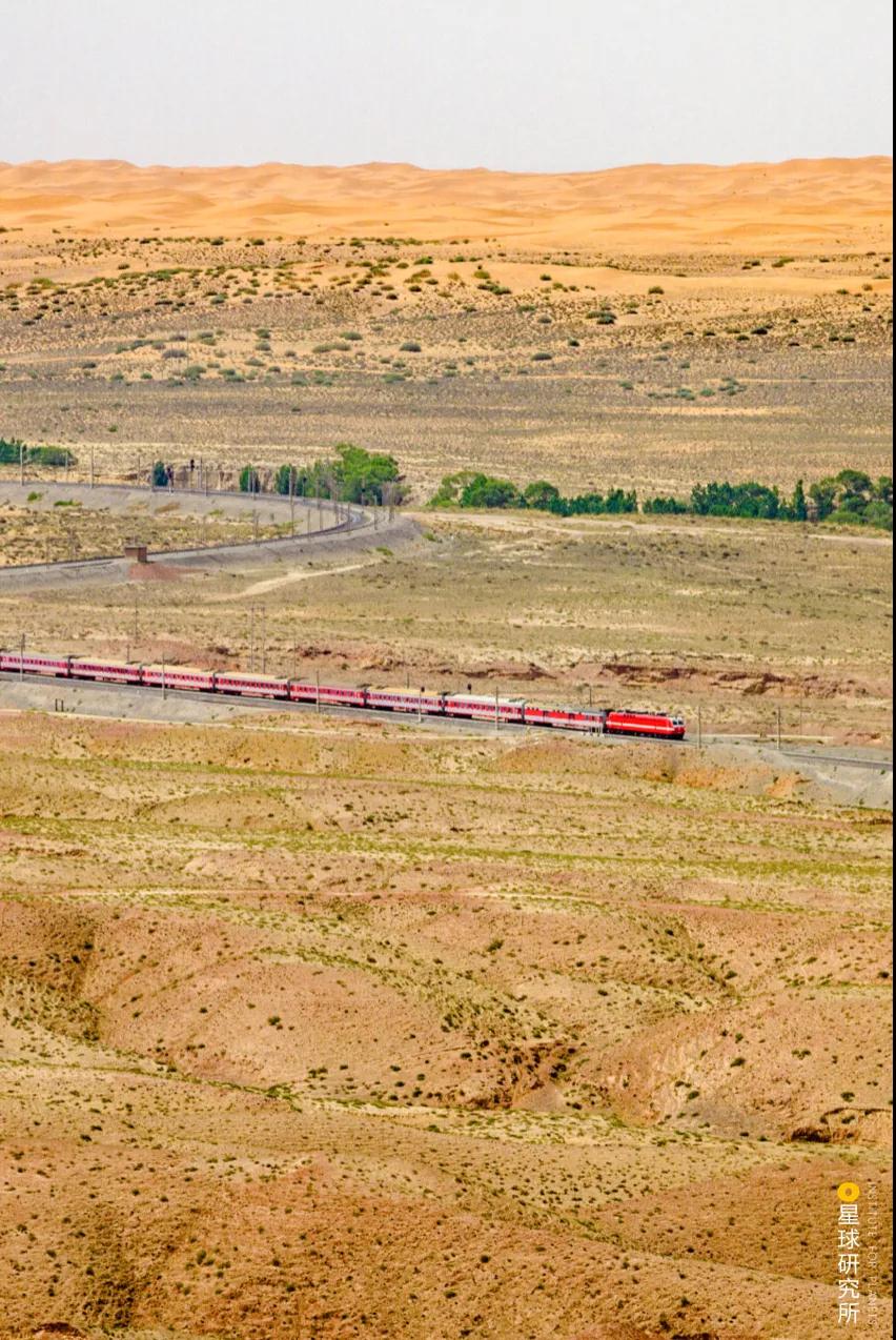 中国植树造林面积,中国植树造林成果国外有什么看法