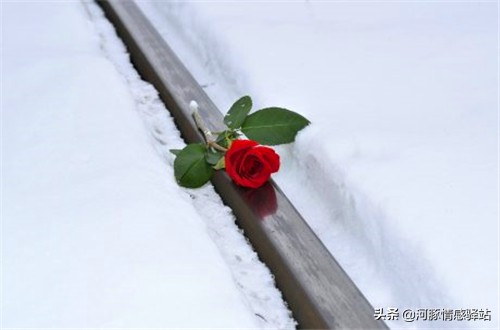 异地恋最近总是吵架怎么办,异地恋吵架应该怎么解决