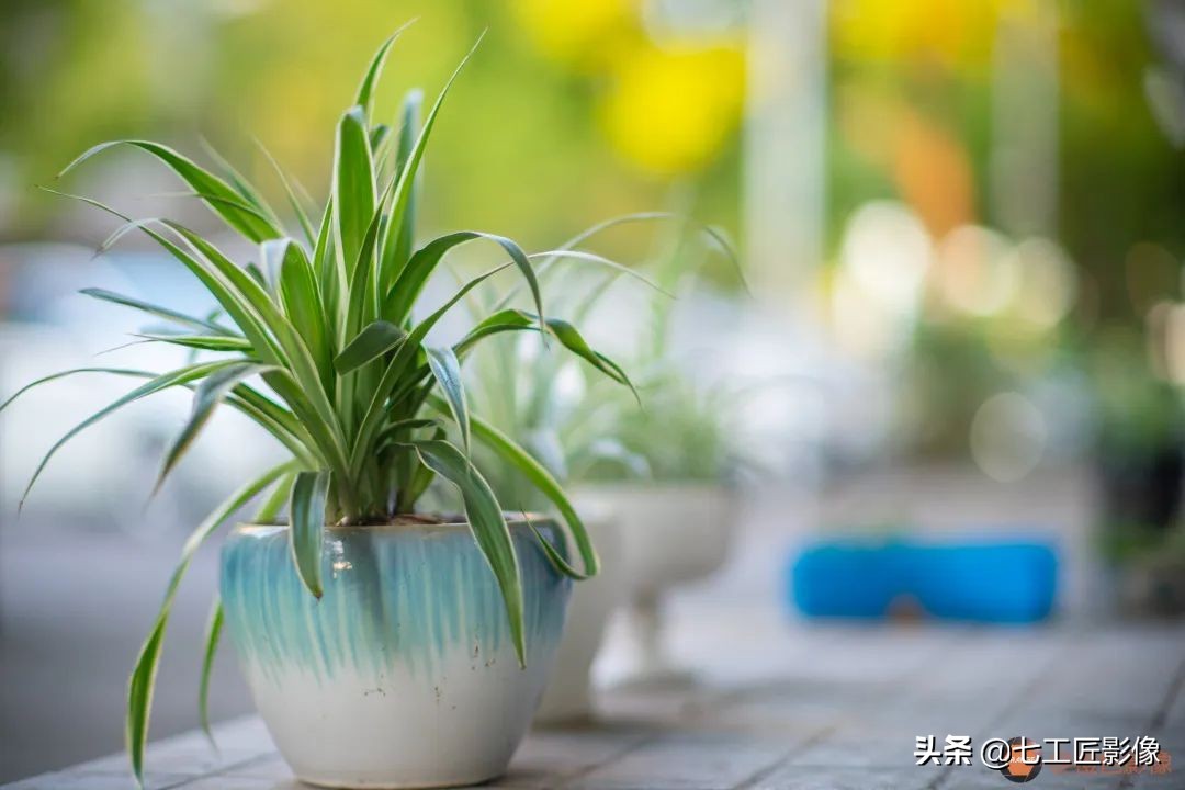 七工匠75mmf1.25夜神人像镜头,七工匠75mmf1.25参数