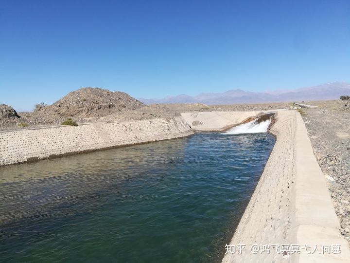 哈密戈壁之花图片,戈壁之花