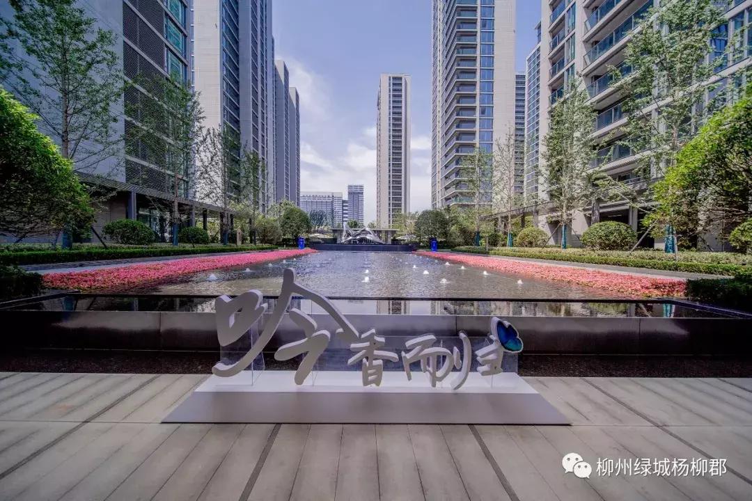 开学啦！柳州新增3所优质学校，买周边楼盘的人笑弯了腰…