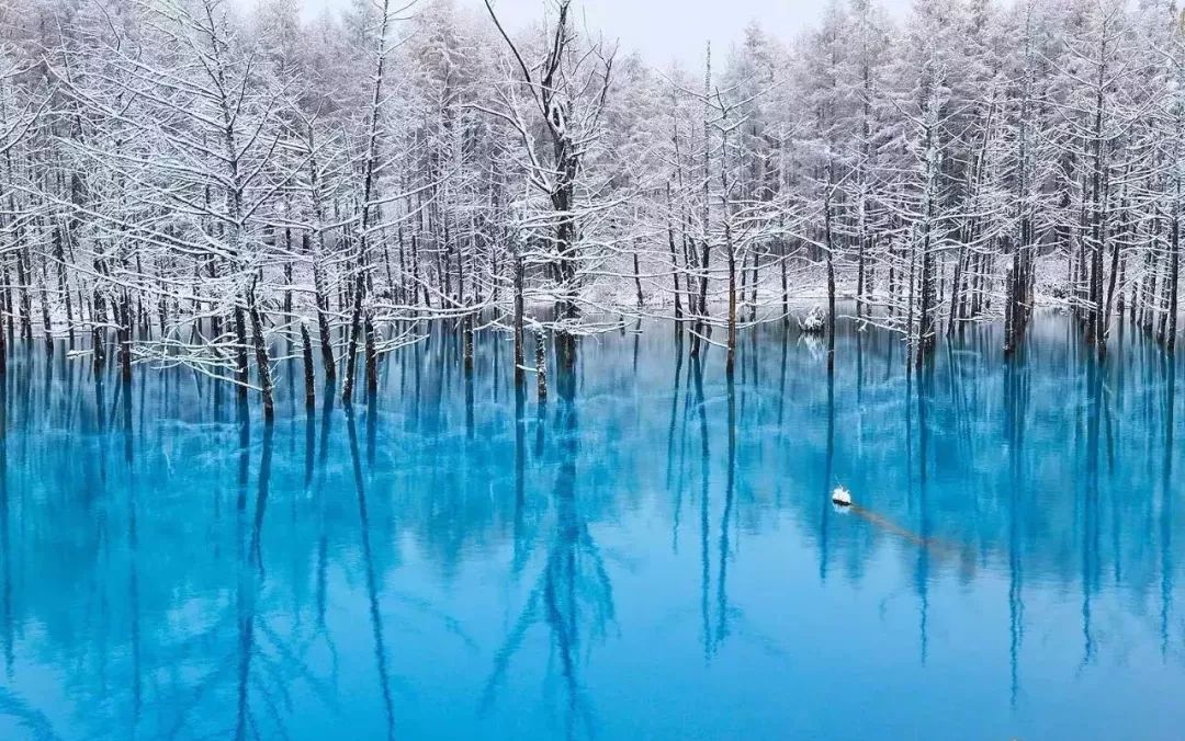 经典ios原生壁纸,iphonex原生壁纸高清海洋风清凉