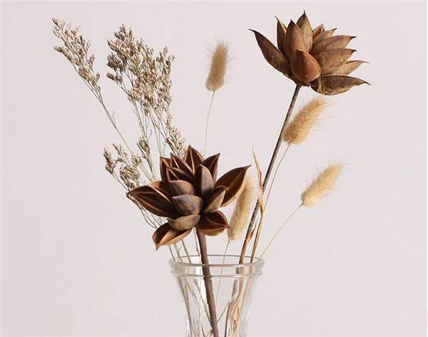鲜花如何做成干花永久保留,鲜花如何制作成干花保留花香