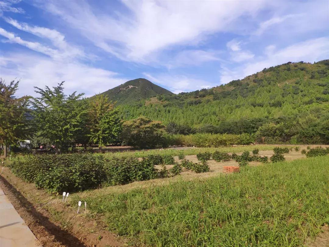 此生一定去要去的地方,此生一定要去这个地方