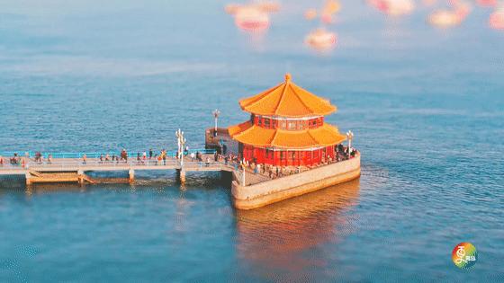 青岛被德国占领时期,青岛被德国占多久